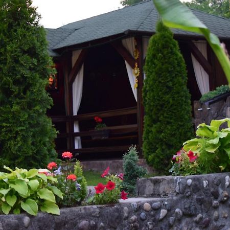 Casa De Vacanta Silvia Vormága Kültér fotó