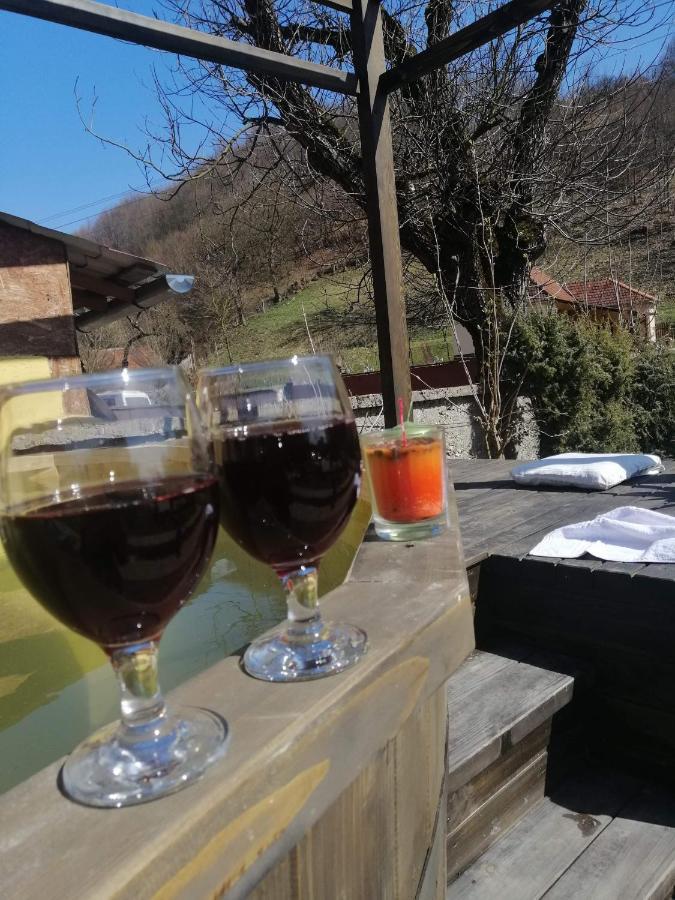 Casa De Vacanta Silvia Vormága Kültér fotó