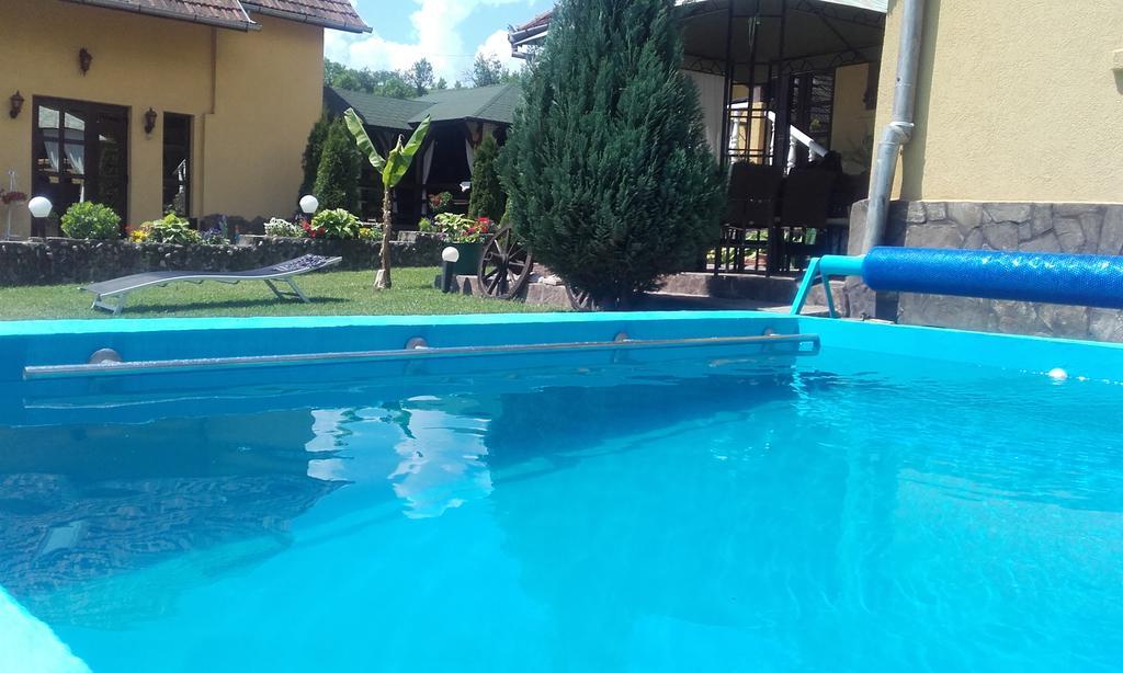 Casa De Vacanta Silvia Vormága Kültér fotó