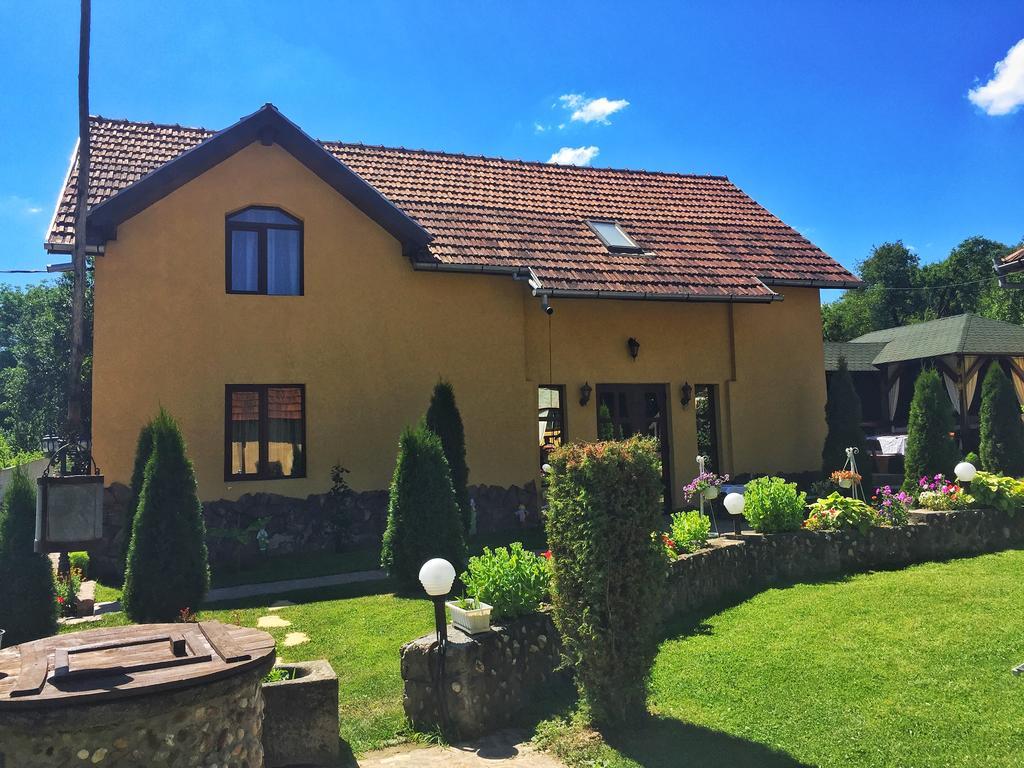 Casa De Vacanta Silvia Vormága Kültér fotó