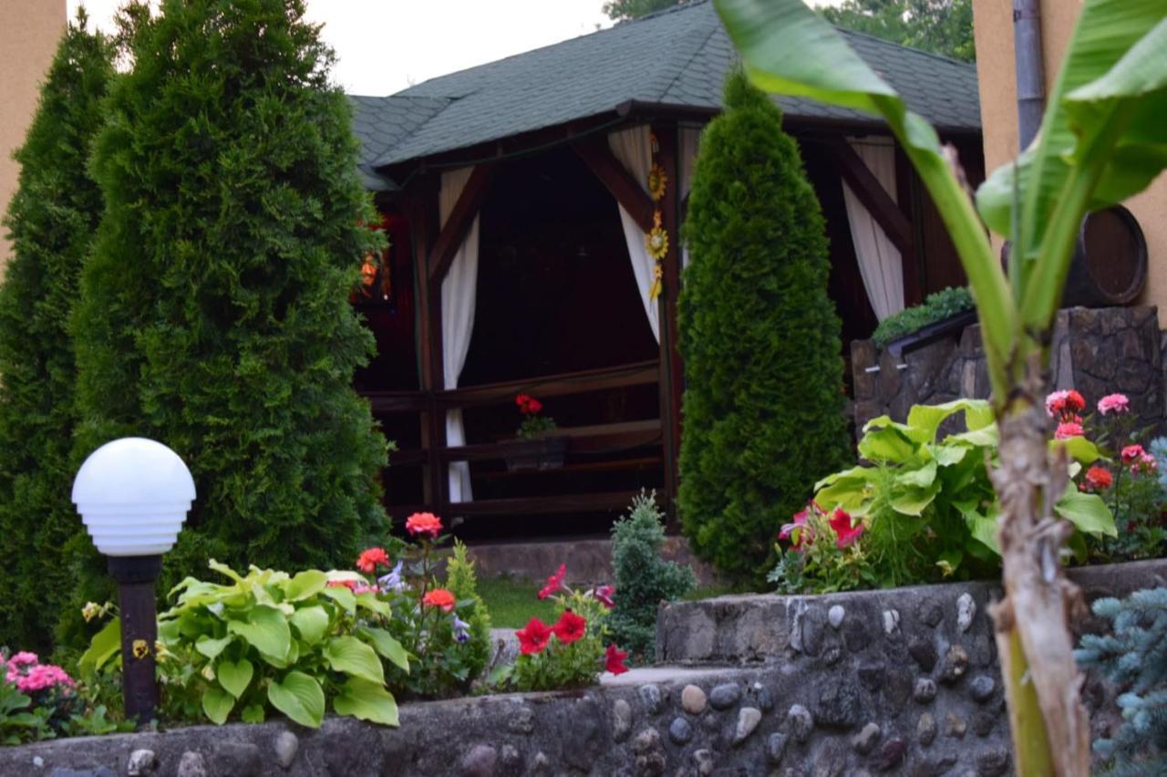 Casa De Vacanta Silvia Vormága Kültér fotó